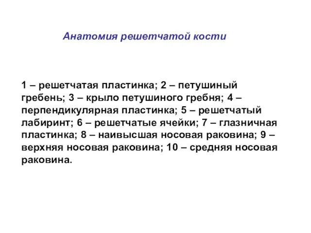 1 – решетчатая пластинка; 2 – петушиный гребень; 3 – крыло