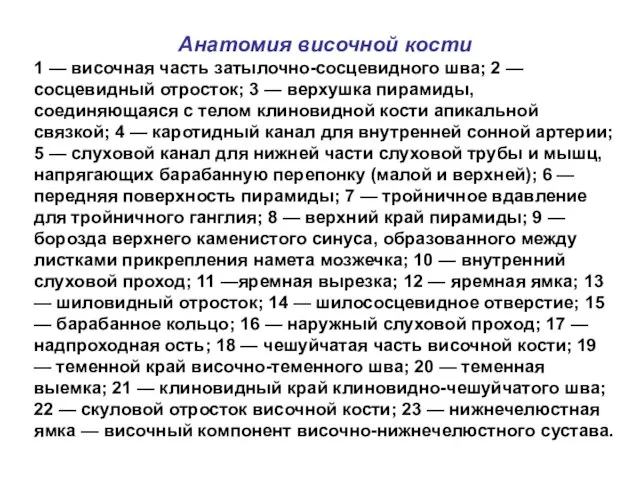 Анатомия височной кости 1 — височная часть затылочно-сосцевидного шва; 2 —