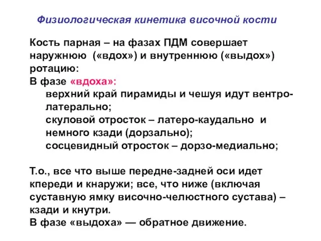 Кость парная – на фазах ПДМ совершает наружнюю («вдох») и внутреннюю