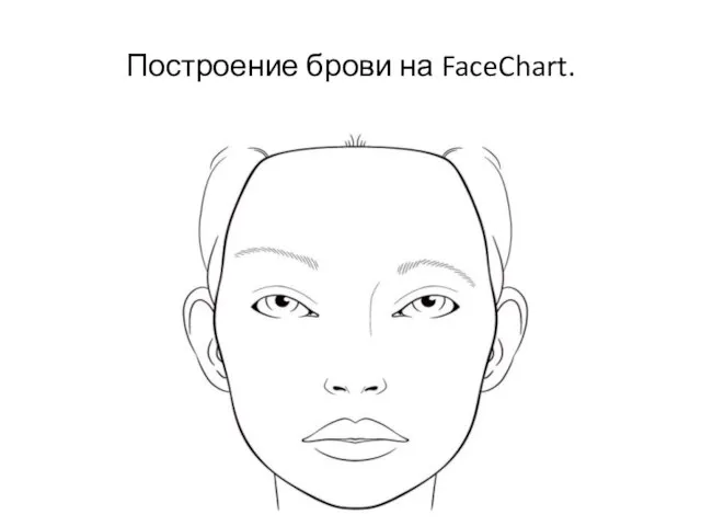 Построение брови на FaceChart.