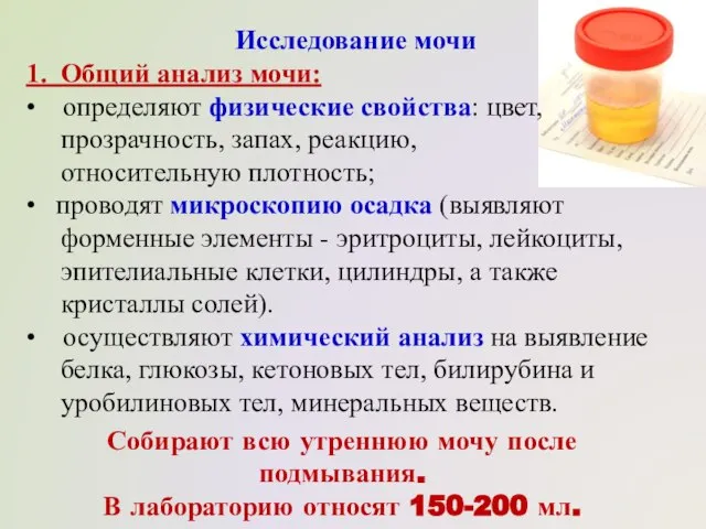 Исследование мочи 1. Общий анализ мочи: • определяют физические свойства: цвет,