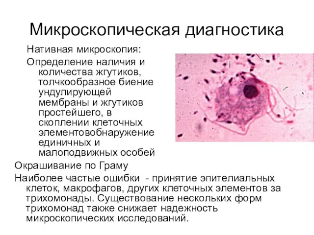 Микроскопическая диагностика Нативная микроскопия: Определение наличия и количества жгутиков, толчкообразное биение