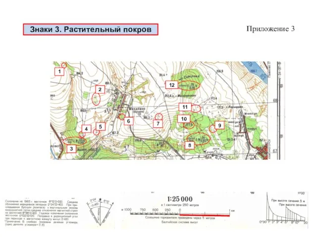 Знаки 3. Растительный покров Приложение 3