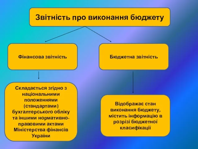 Звітність про виконання бюджету Фінансова звітність Бюджетна звітність Складається згідно з