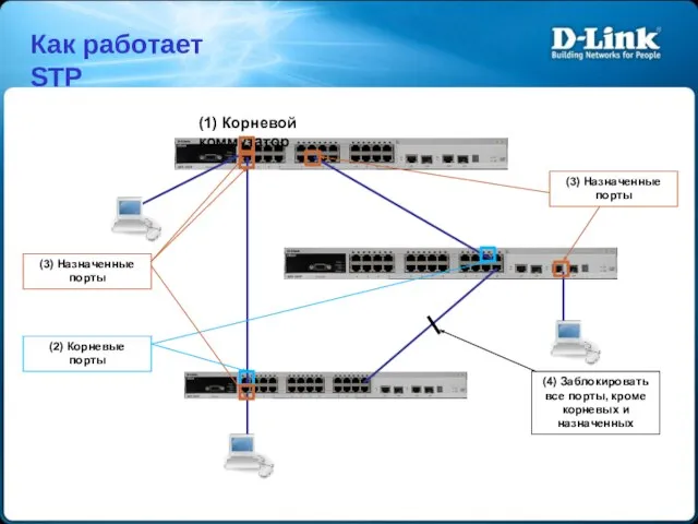 (2) Корневые порты (3) Назначенные порты (3) Назначенные порты (1) Корневой