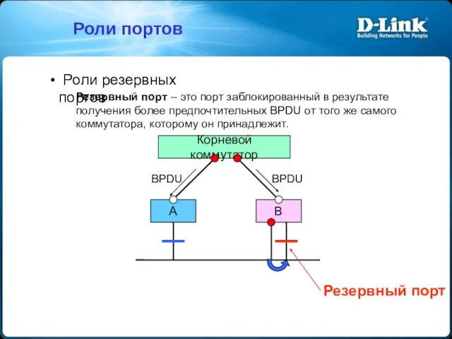 Роли резервных портов Резервный порт – это порт заблокированный в результате