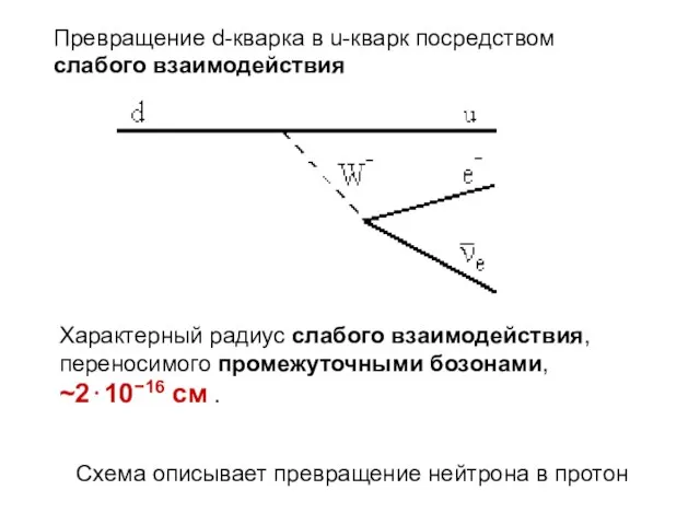 Превращение d-кварка в u-кварк посредством слабого взаимодействия Характерный радиус слабого взаимодействия,