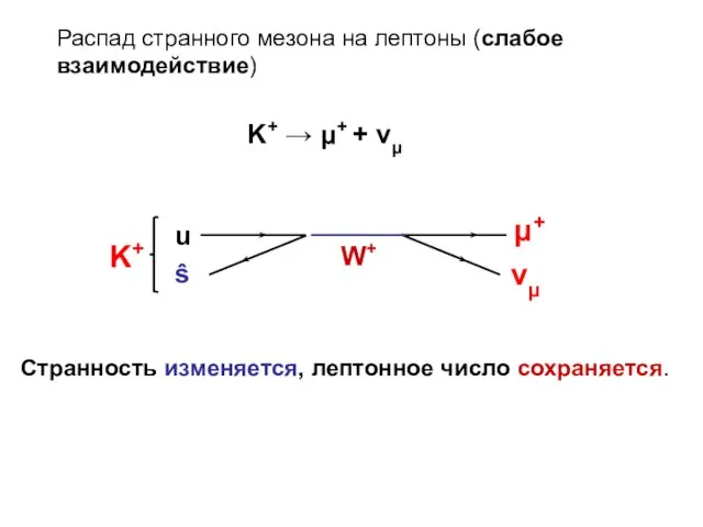 K+ → μ+ + νμ Распад странного мезона на лептоны (слабое