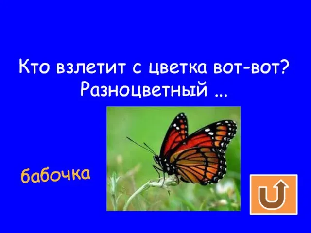 Кто взлетит с цветка вот-вот? Разноцветный ... бабочка