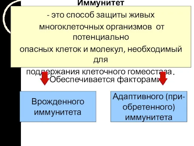 Иммунитет - это способ защиты живых многоклеточных организмов от потенциально опасных