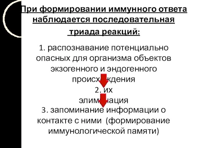 При формировании иммунного ответа наблюдается последовательная триада реакций: 1. распознавание потенциально