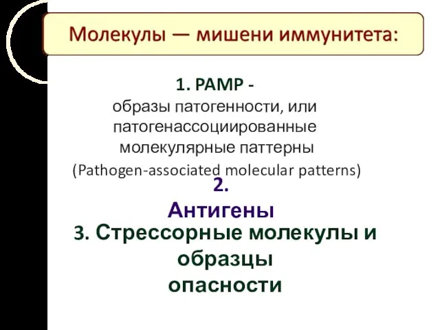 1. PAMP - образы патогенности, или патогенассоциированные молекулярные паттерны (Pathogen-associated molecular