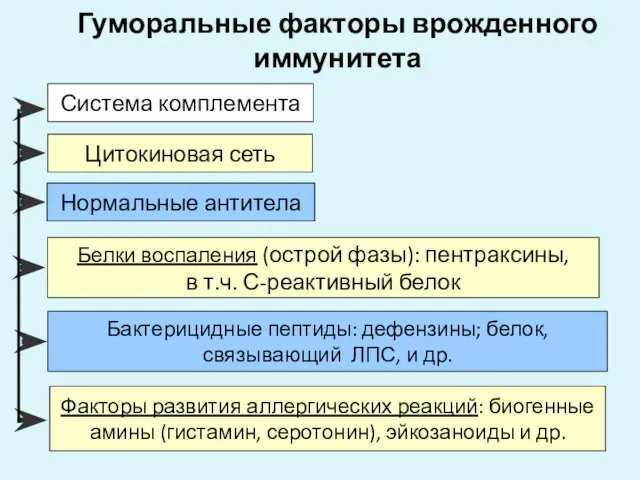 Гуморальные факторы врожденного иммунитета Система комплемента Цитокиновая сеть Нормальные антитела Бактерицидные