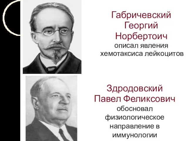 Габричевский Георгий Норбертоич описал явления хемотаксиса лейкоцитов Здродовский Павел Феликсович обосновал физиологическое направление в иммунологии