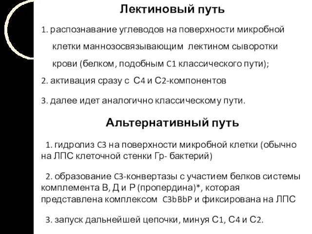 Лектиновый путь 1. распознавание углеводов на поверхности микробной клетки маннозосвязывающим лектином