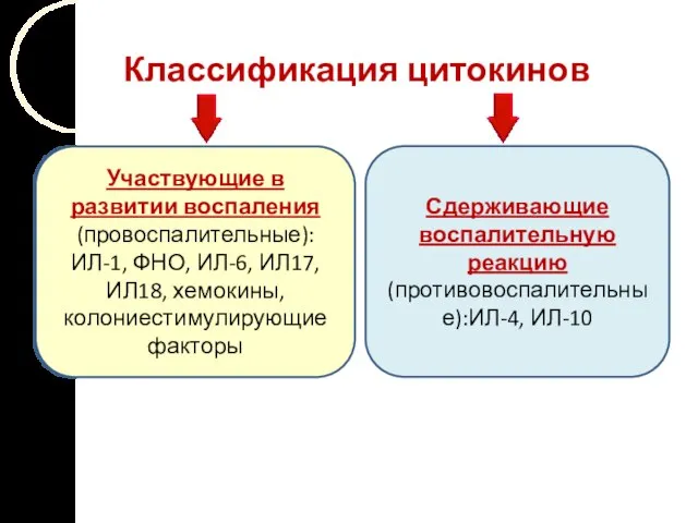 Классификация цитокинов Участвующие в развитии воспаления (провоспалительные): ИЛ-1, ФНО, ИЛ-6, ИЛ17,