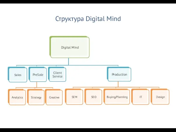 Структура Digital Mind