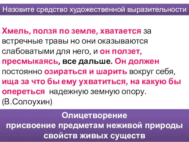 Хмель, ползя по земле, хватается за встречные травы но они оказываются