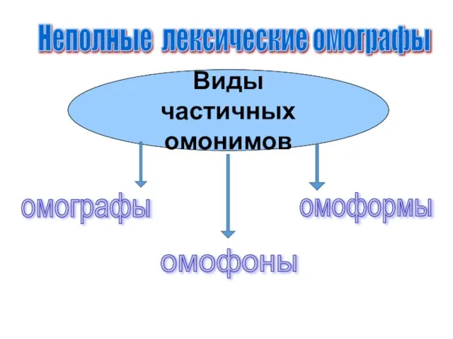 Виды частичных омонимов омографы омофоны омоформы Неполные лексические омографы