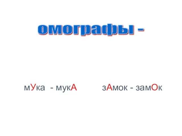 омографы - слова, которые совпадают по написанию, но различаются значением и