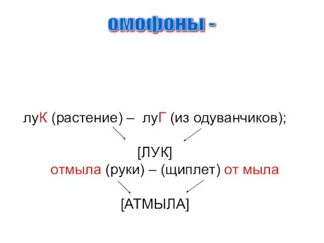 омофоны - слова, разные по значению и написанию, но совпадающие по