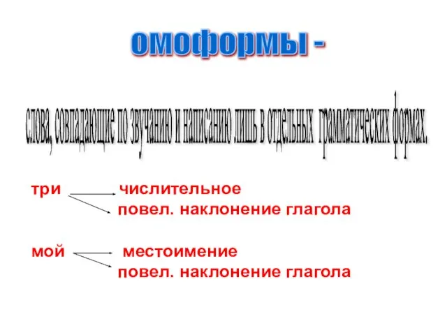 омоформы - слова, совпадающие по звучанию и написанию лишь в отдельных