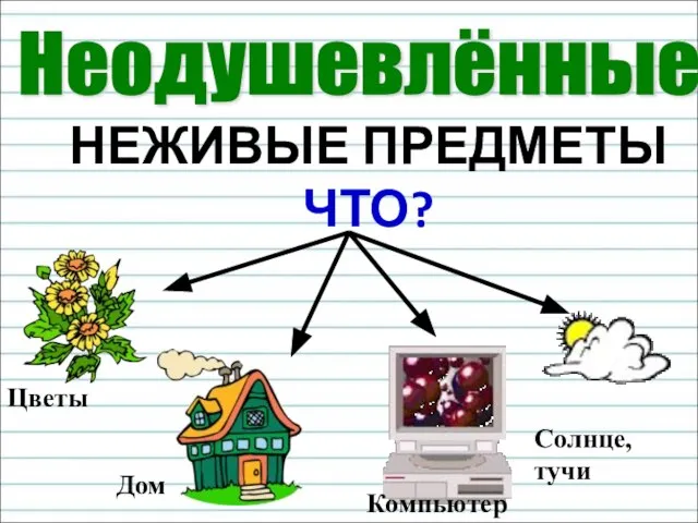 НЕЖИВЫЕ ПРЕДМЕТЫ ЧТО? Цветы Дом Компьютер Солнце, тучи Неодушевлённые