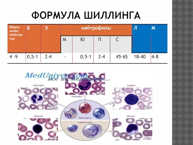 ФОРМУЛА ШИЛЛИНГА