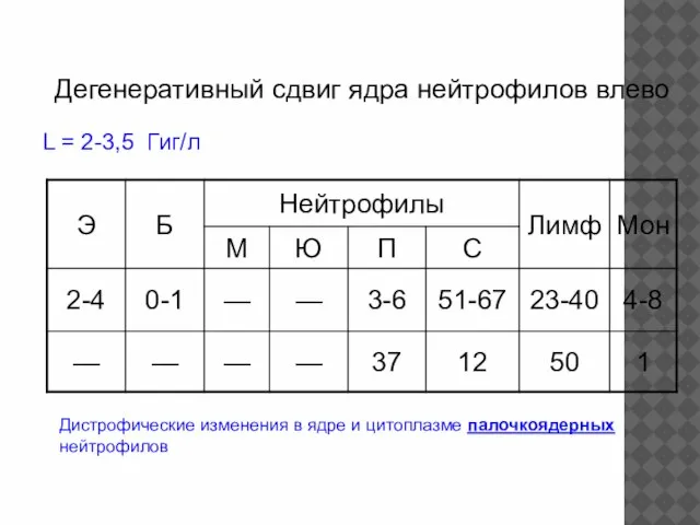 Дегенеративный сдвиг ядра нейтрофилов влево L = 2-3,5 Гиг/л Дистрофические изменения