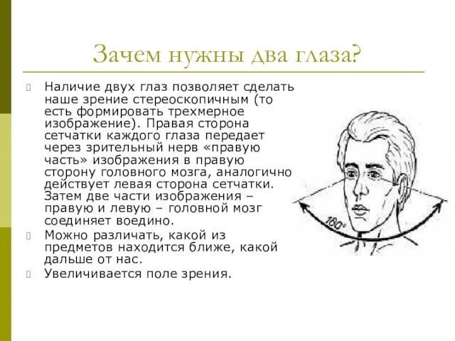 Зачем нужны два глаза? Наличие двух глаз позволяет сделать наше зрение