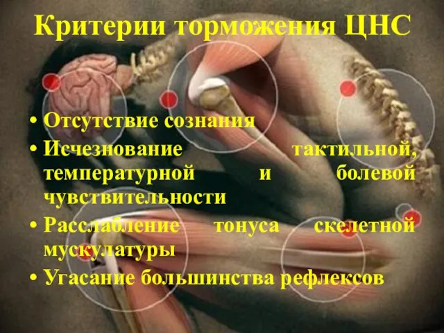 Критерии торможения ЦНС Отсутствие сознания Исчезнование тактильной, температурной и болевой чувствительности