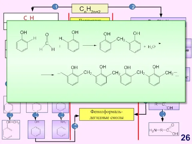 CnH2n+2 CnH2n-6 Арены, бензол Полиэтилен Полипропилен Каучуки Жиры Фенолформаль- дегидные смолы