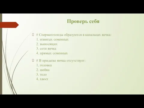 Проверь себя # Сперматозоиды образуются в канальцах яичка: 1. извитых семенных