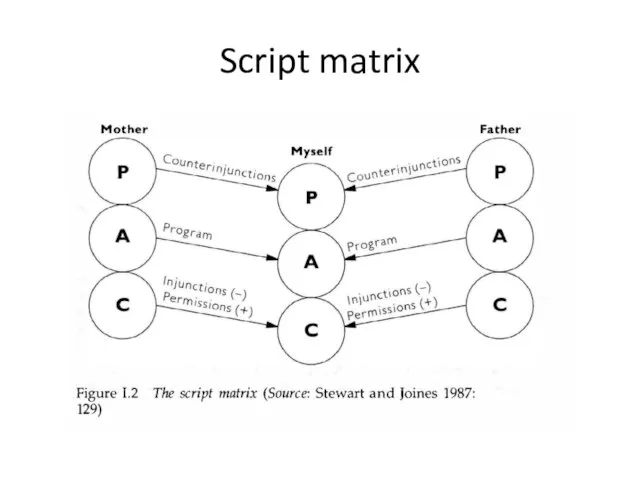 Script matrix