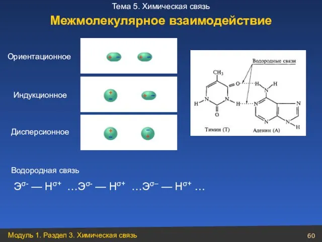 Ориентационное Индукционное Дисперсионное Водородная связь Межмолекулярное взаимодействие Эσ- — Нσ+ …Эσ-