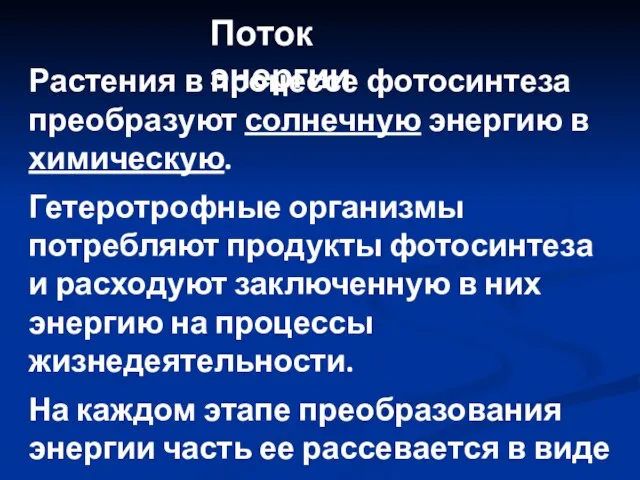 Растения в процессе фотосинтеза преобразуют солнечную энергию в химическую. Гетеротрофные организмы