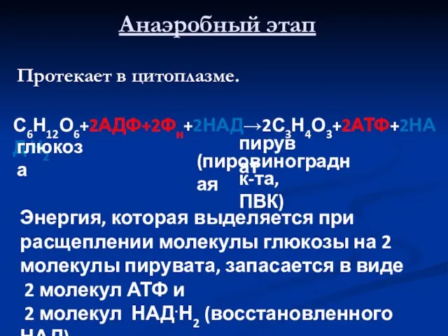 Анаэробный этап Протекает в цитоплазме. С6Н12О6+2АДФ+2Фн+2НАД→2С3Н4О3+2АТФ+2НАД.Н2 глюкоза пируват (пировиноградная к-та, ПВК)