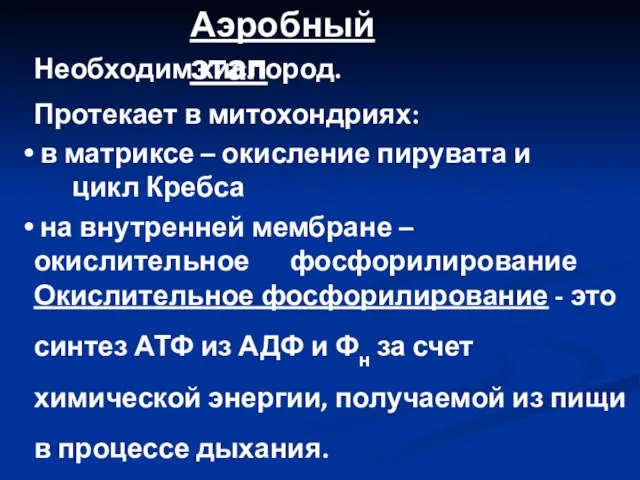 Аэробный этап Необходим кислород. Протекает в митохондриях: в матриксе – окисление