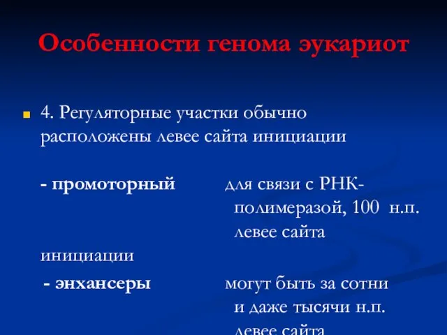 Особенности генома эукариот 4. Регуляторные участки обычно расположены левее сайта инициации