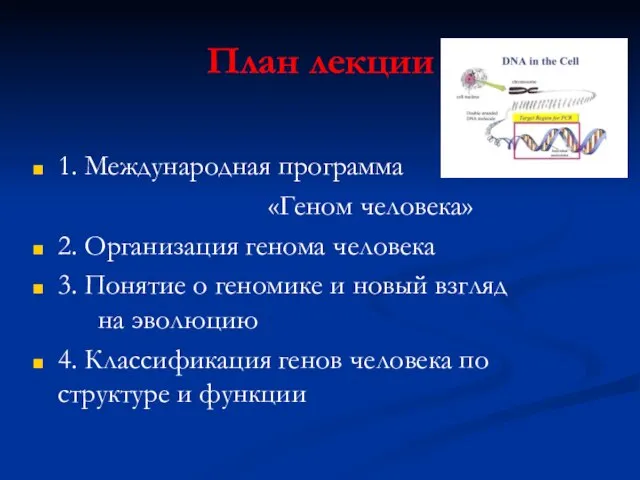 План лекции 1. Международная программа «Геном человека» 2. Организация генома человека