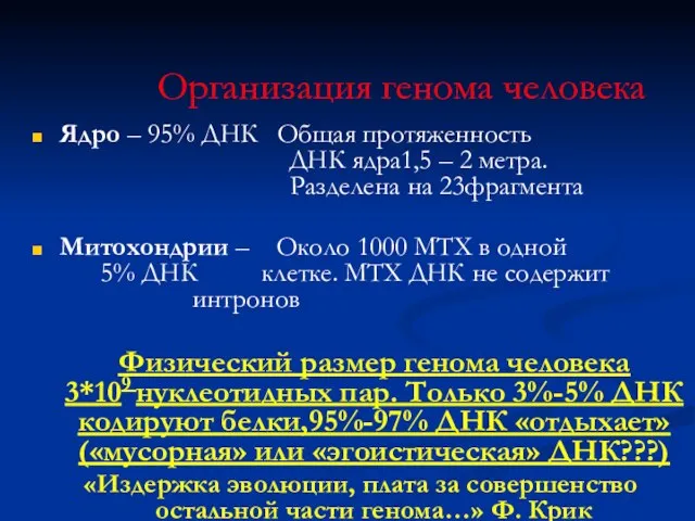 Организация генома человека Ядро – 95% ДНК Общая протяженность ДНК ядра1,5