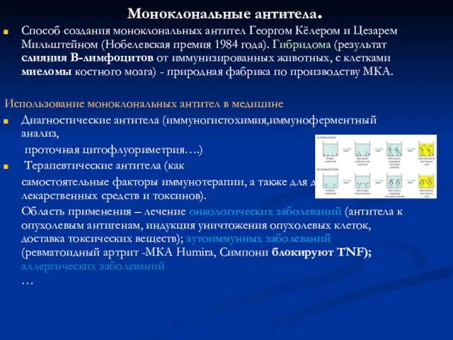 Моноклональные антитела. Способ создания моноклональных антител Георгом Кёлером и Цезарем Мильштейном