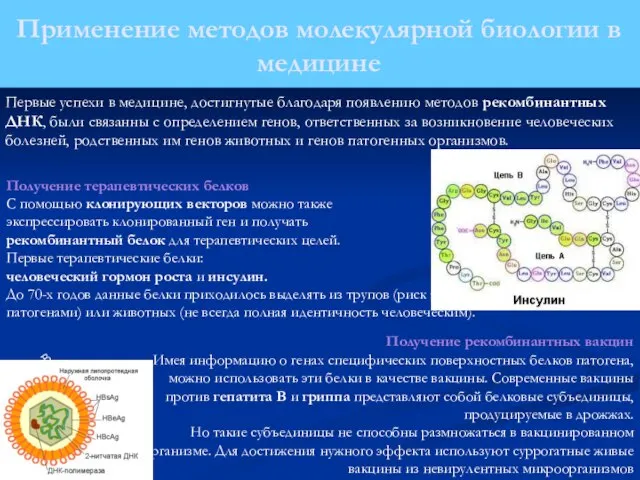 Получение терапевтических белков С помощью клонирующих векторов можно также экспрессировать клонированный