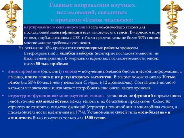 Главные направления научных исследований, связанных с проектом «Геном человека»: аннотирование (описание)