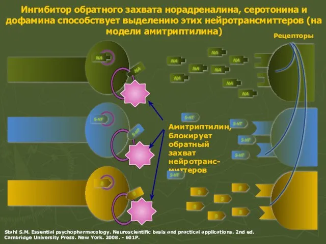 Ингибитор обратного захвата норадреналина, серотонина и дофамина способствует выделению этих нейротрансмиттеров