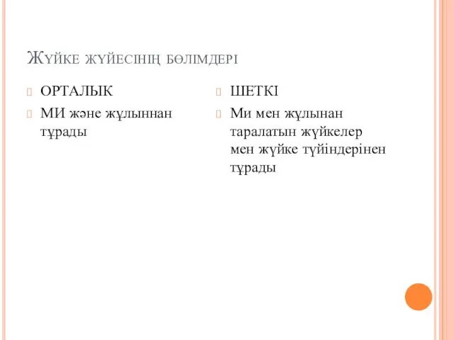 Жүйке жүйесінің бөлімдері ОРТАЛЫК МИ және жұлыннан тұрады ШЕТКІ Ми мен