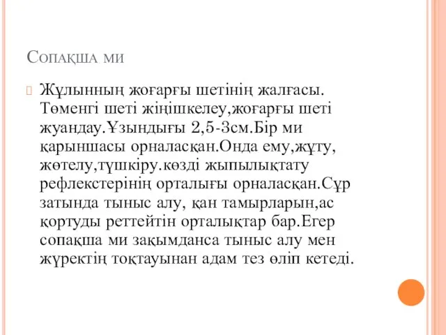 Сопақша ми Жұлынның жоғарғы шетінің жалғасы.Төменгі шеті жіңішкелеу,жоғарғы шеті жуандау.Ұзындығы 2,5-3см.Бір