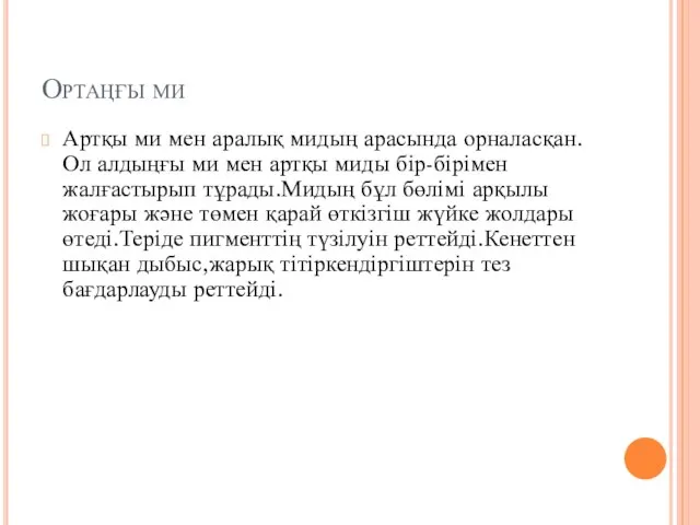 Ортаңғы ми Артқы ми мен аралық мидың арасында орналасқан.Ол алдыңғы ми