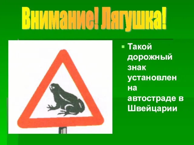 Такой дорожный знак установлен на автостраде в Швейцарии Внимание! Лягушка!