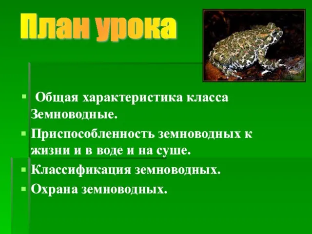 Общая характеристика класса Земноводные. Приспособленность земноводных к жизни и в воде